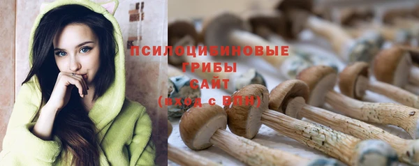 прущие крисы Белоозёрский