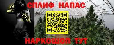 СК Донской