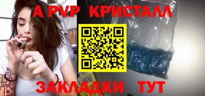стаф Донецк