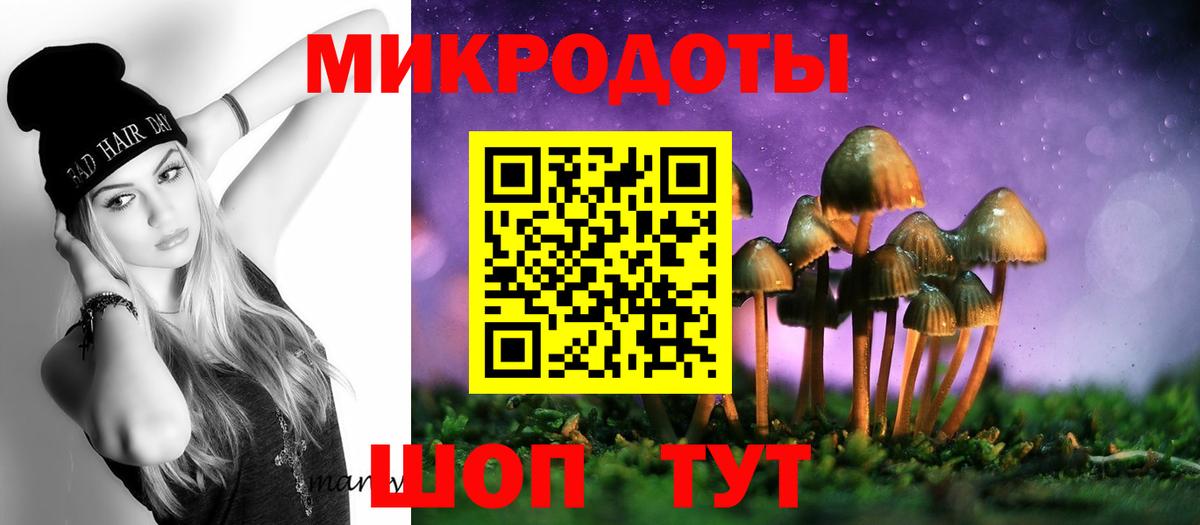Псилоцибиновые грибы прущие грибы Вязники